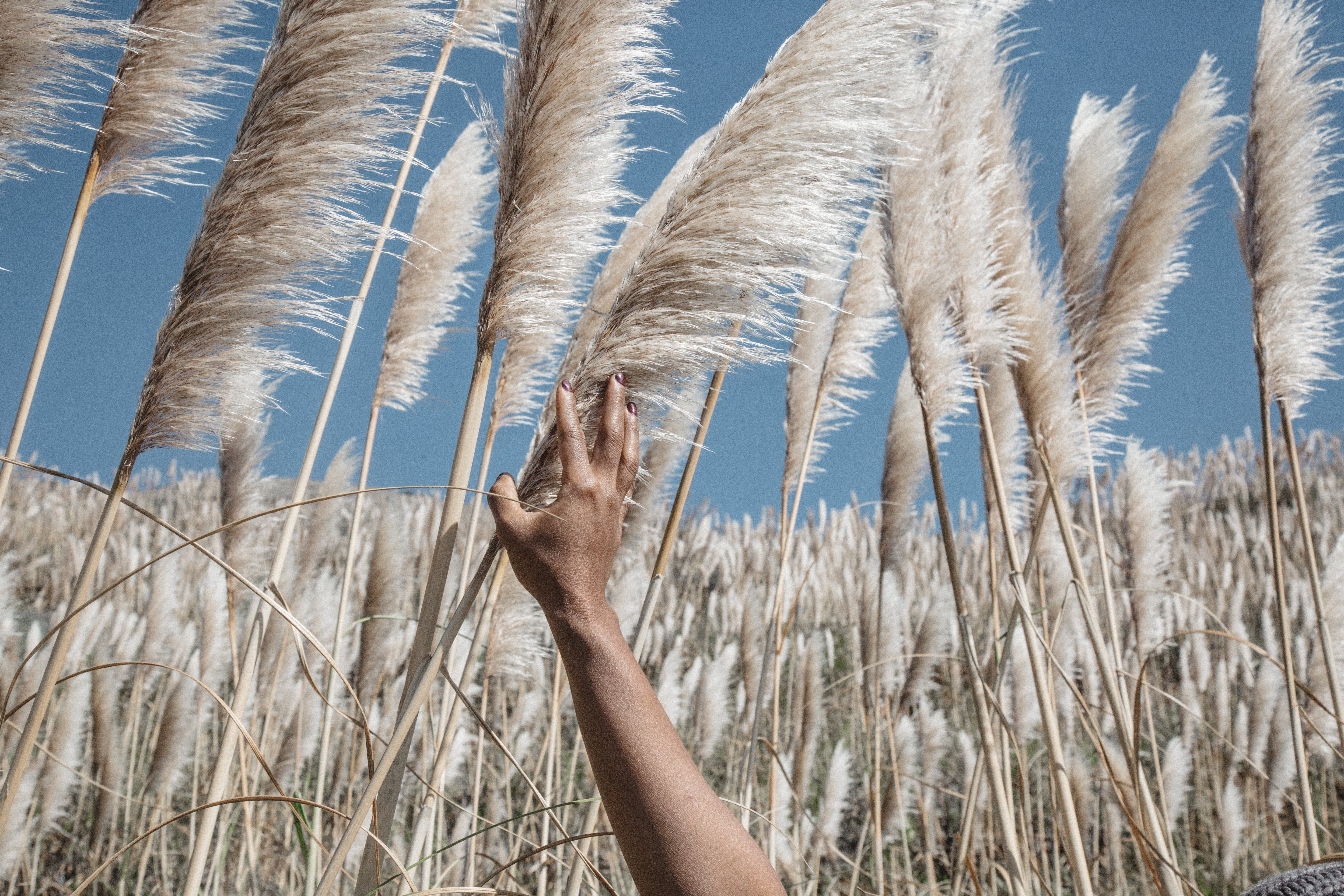 This Insta-Worthy Road Trip To Sleep in a Human Nest is Everything
